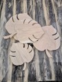 Monstera