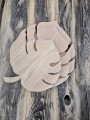 Monstera