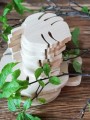 Monstera