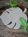 Monstera